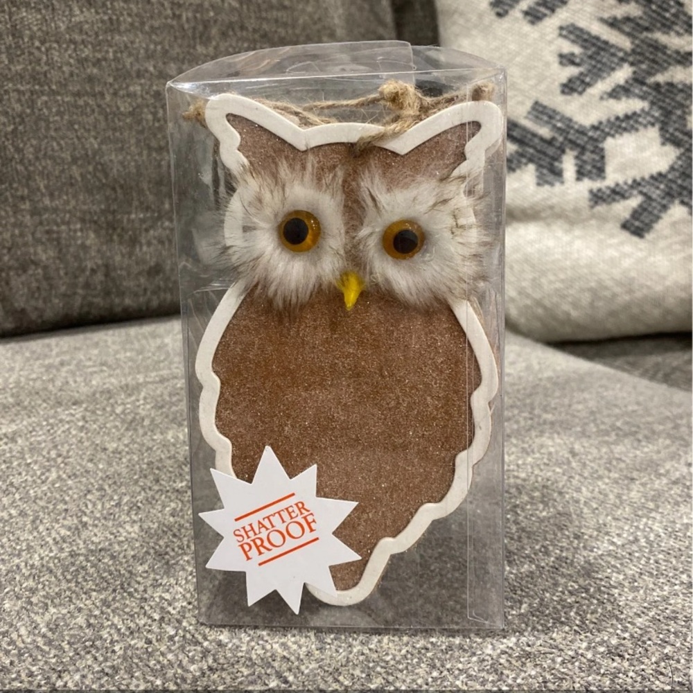 New Hobby Lobby 6pc Owl Ornaments